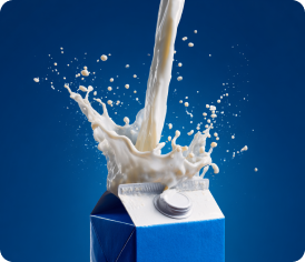 Productos Lacteos